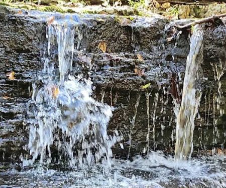 Bleudon Forest RV Resort