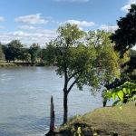 Bird Hollow Resort & RV Park