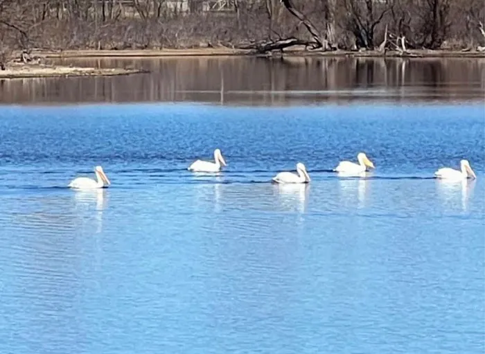 Lakeshore Bliss Resort Picture 2