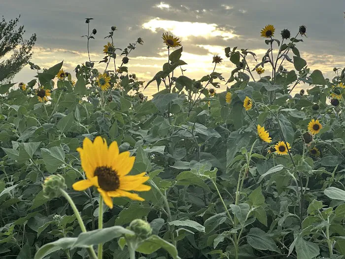 Lakeshore Bliss Resort Picture 6