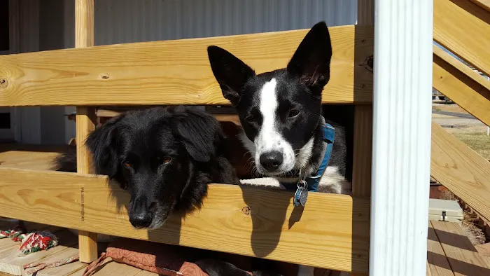 Peaceful Valley RV Park Picture 1