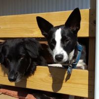 Peaceful Valley RV Park ico