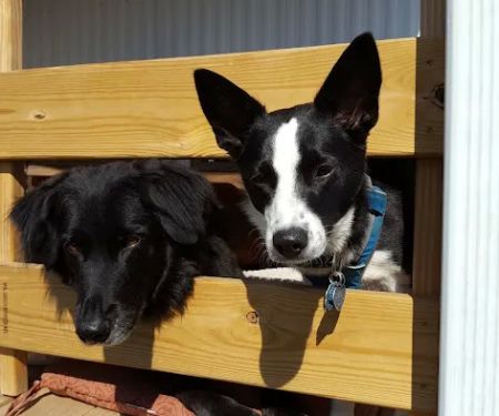 Peaceful Valley RV Park