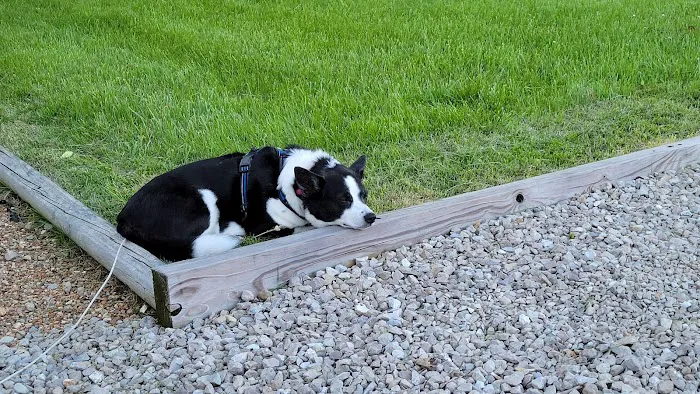 Peaceful Valley RV Park Picture 5