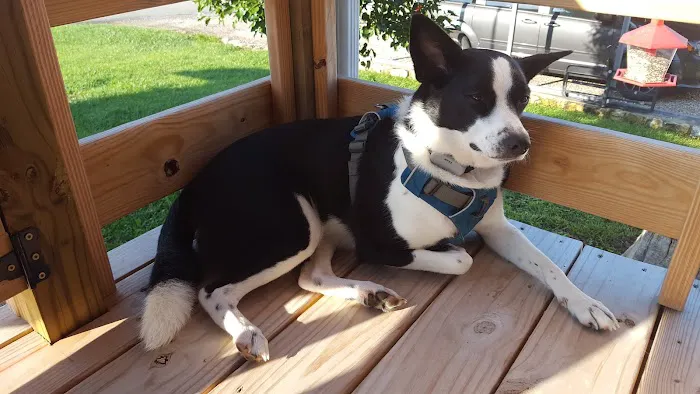 Peaceful Valley RV Park Picture 7