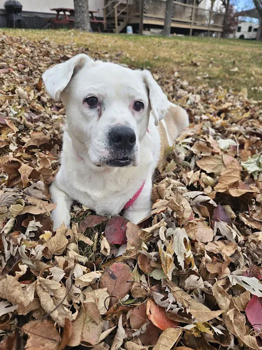 Peaceful Valley RV Park Picture 8