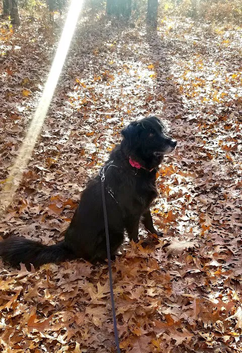 Peaceful Valley RV Park Picture 10