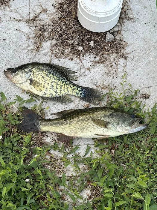 Lake Meadows RV Park Picture 8