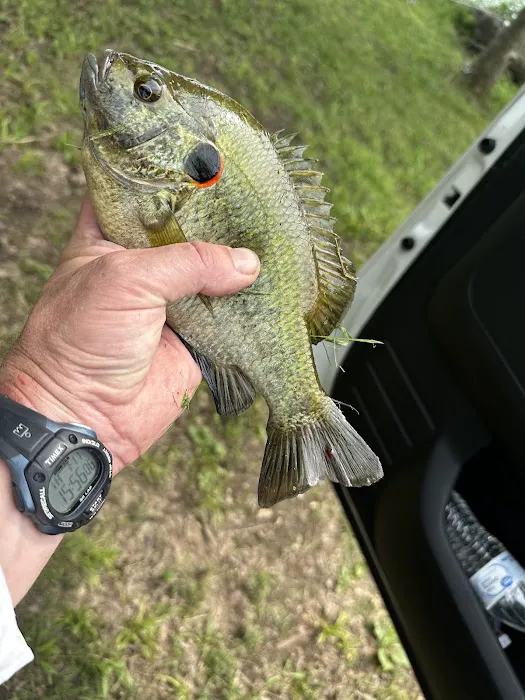 Lake Meadows RV Park Picture 9