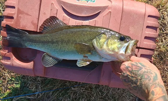 Lake Meadows RV Park Picture 7