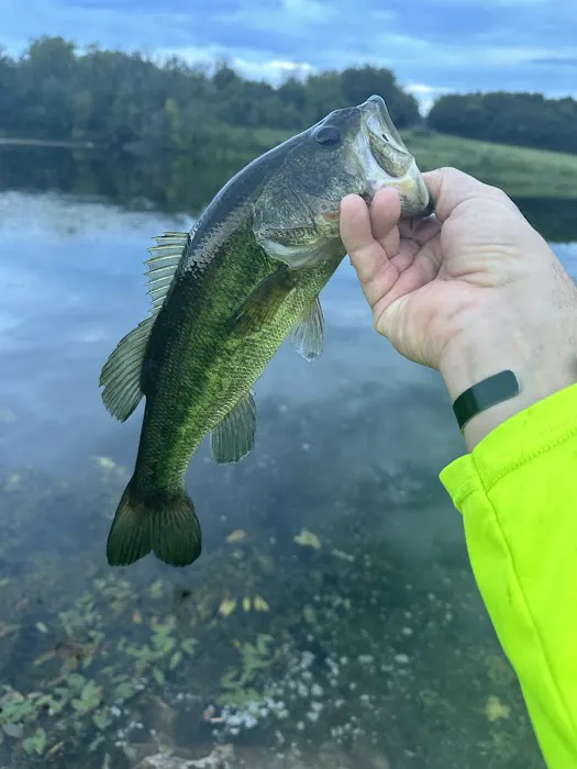 Lake Meadows RV Park Picture 10