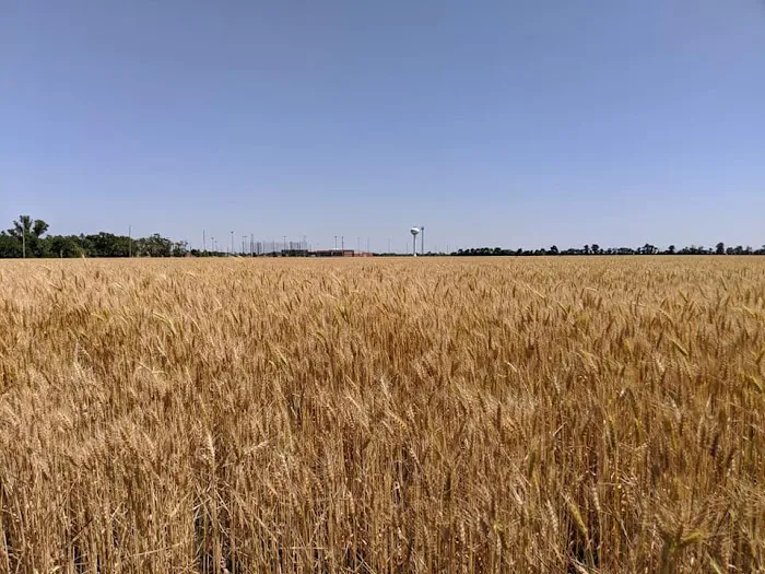 Maple Village Manufactured Home Community Picture 7