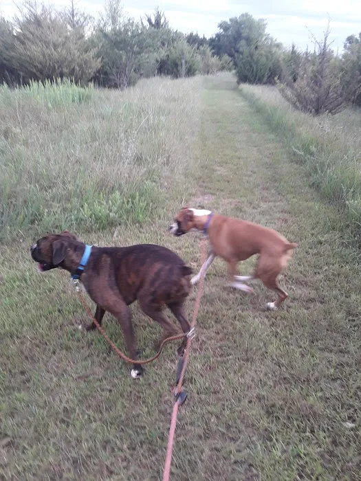 All Seasons RV Park Picture 5