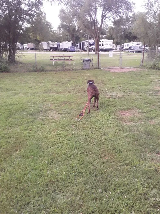 All Seasons RV Park Picture 8