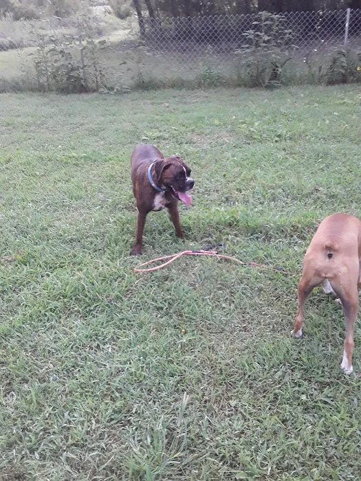 All Seasons RV Park Picture 9