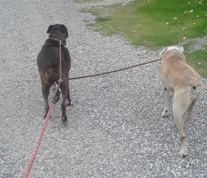 All Seasons RV Park Picture 7