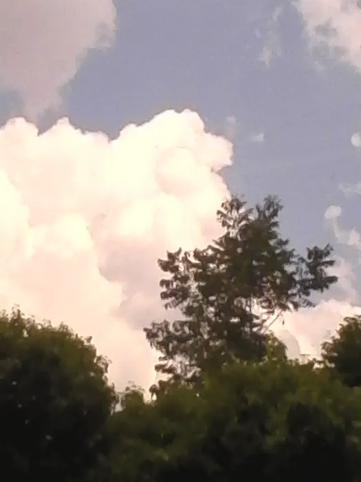 Hillside Rv Park Picture 1