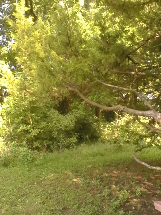 Hillside Rv Park Picture 7