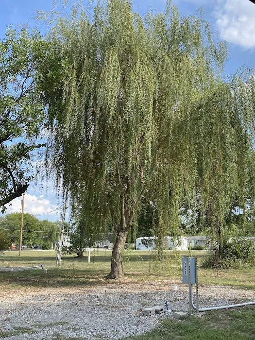 Lonestar RV Park Picture 2