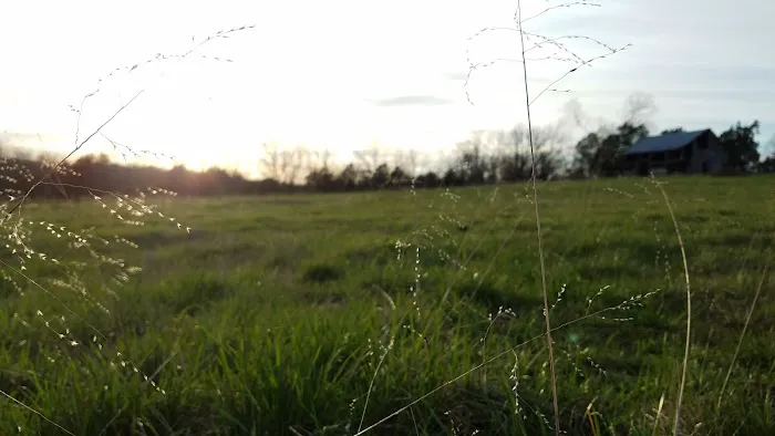 Haven Hollow RV Park Picture 6