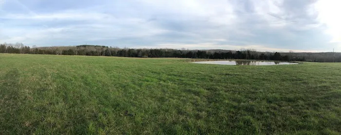 Haven Hollow RV Park Picture 9