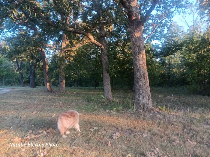 Three Springs RV Park Picture 6