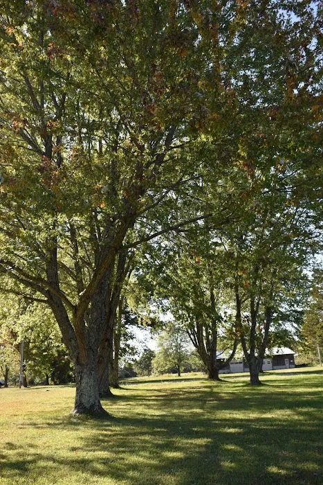 Three Springs RV Park Picture 9