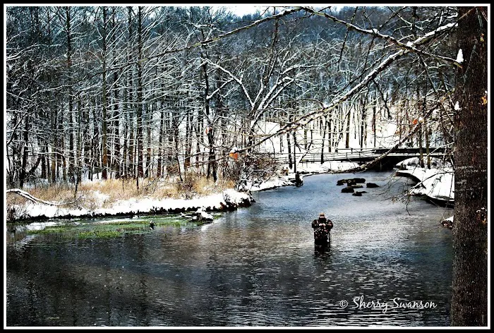 Pheasant Acres RV Park Picture 7