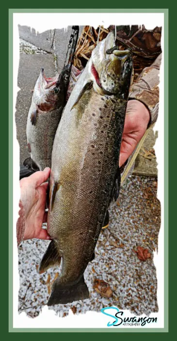 Pheasant Acres RV Park Picture 8