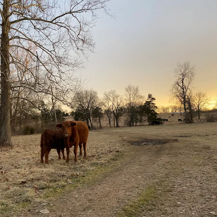 Ozark Farms Family Campground & RV Park Picture 6