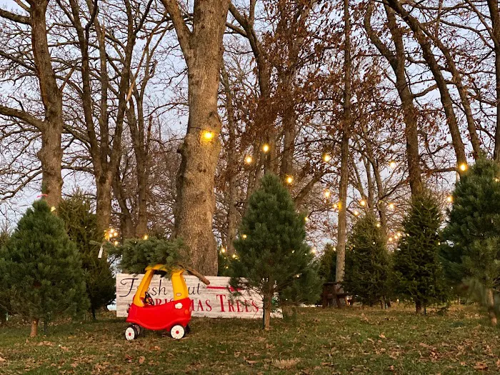 Ozark Farms Family Campground & RV Park Picture 7