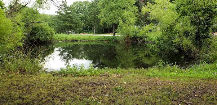 Goody's Resort Picture 9