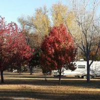 Seidels RV Park and Campground ico