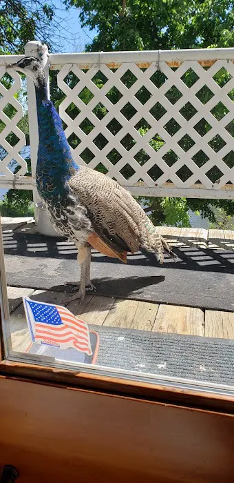 Seidels RV Park and Campground Picture 2