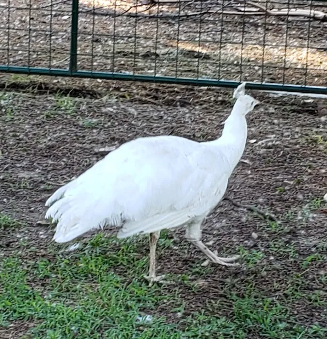 Seidels RV Park and Campground Picture 6