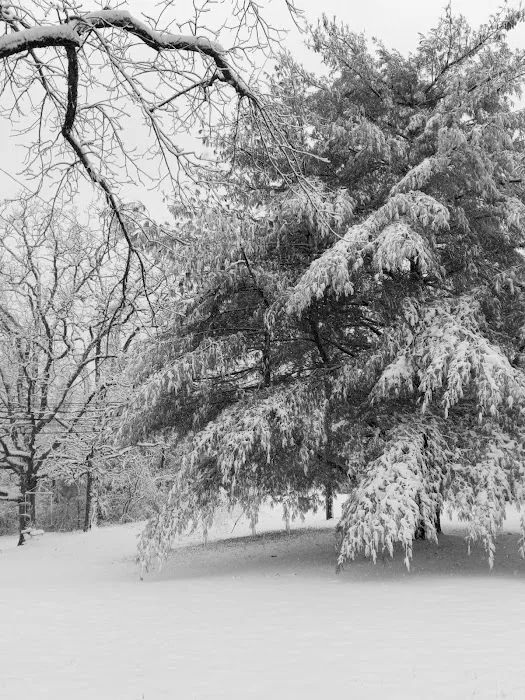 South Villa Park Picture 2