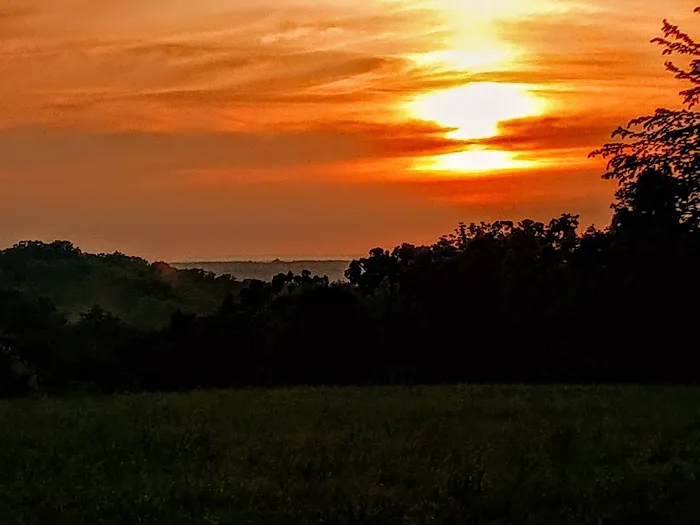 South Villa Park Picture 4