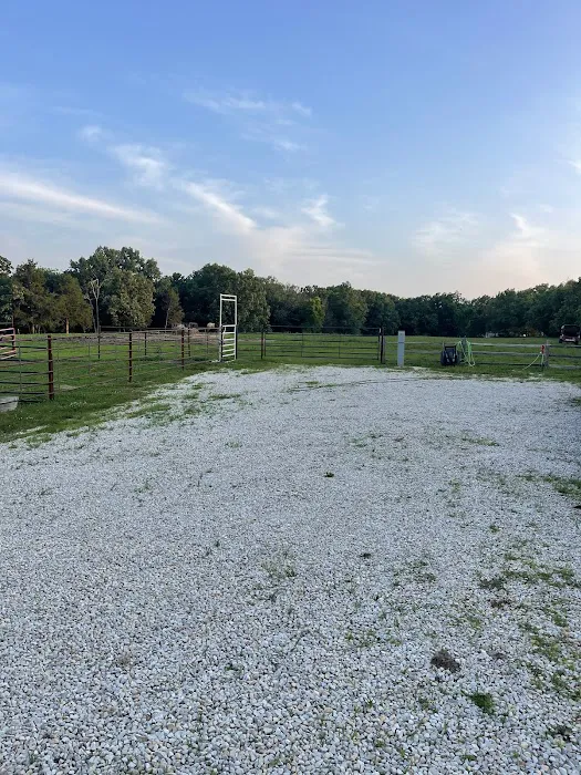 Ozark crossing Rv park and cabin Picture 2