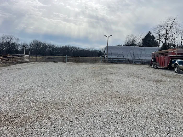 Ozark crossing Rv park and cabin Picture 4