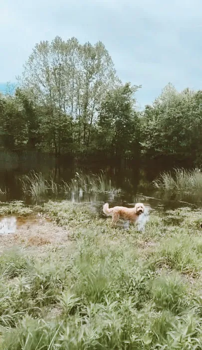 Camp Elim RV Park & Campground Picture 3