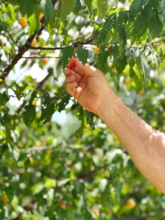 Camp Elim RV Park & Campground Picture 9