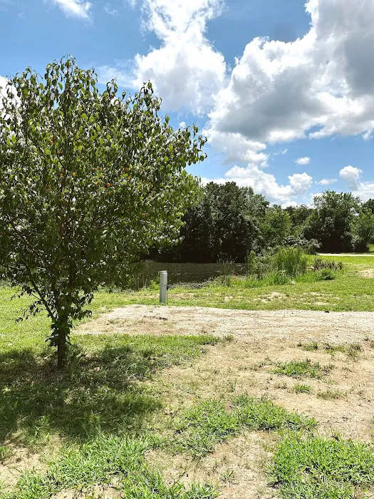 Camp Elim RV Park & Campground Picture 10