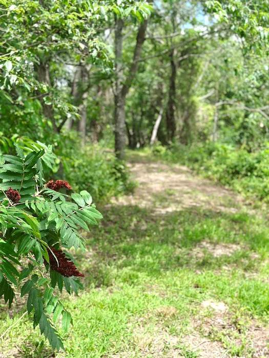 Camp Elim RV Park & Campground Picture 7