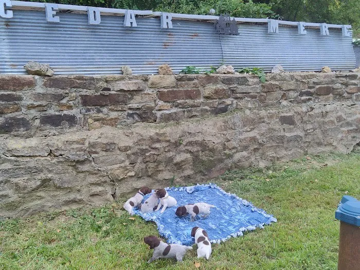 Cedar Mere Riverside Picture 2