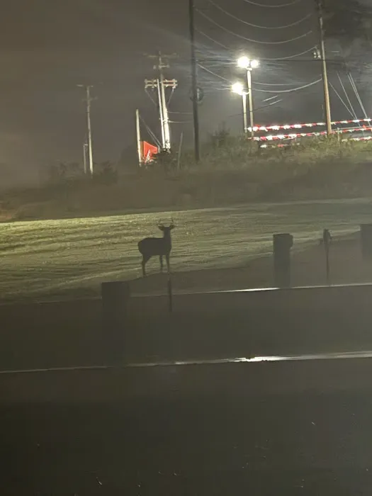 City of St Robert RV Park Picture 10