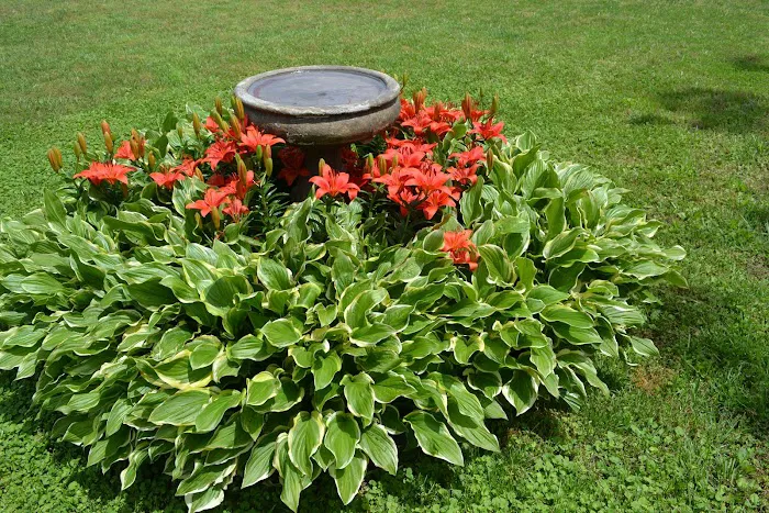 Hickory Hills Mobile Home Park Picture 4