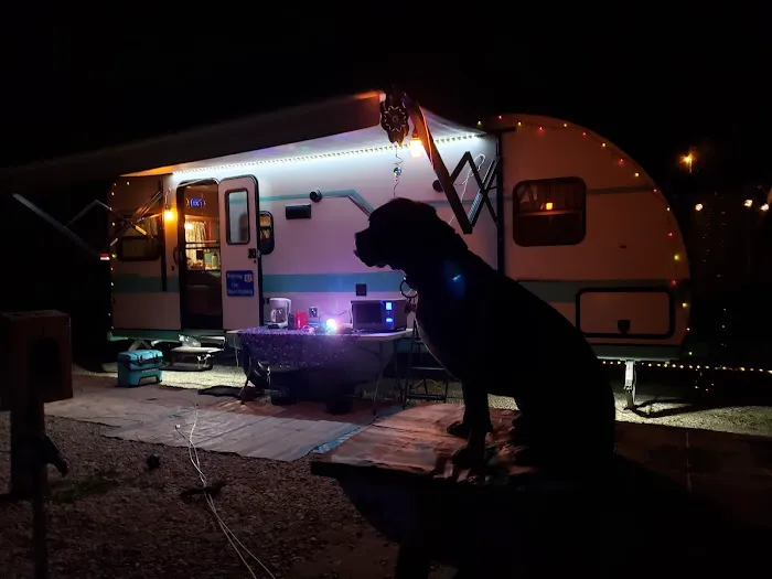 Scallywag's RV Park Picture 5