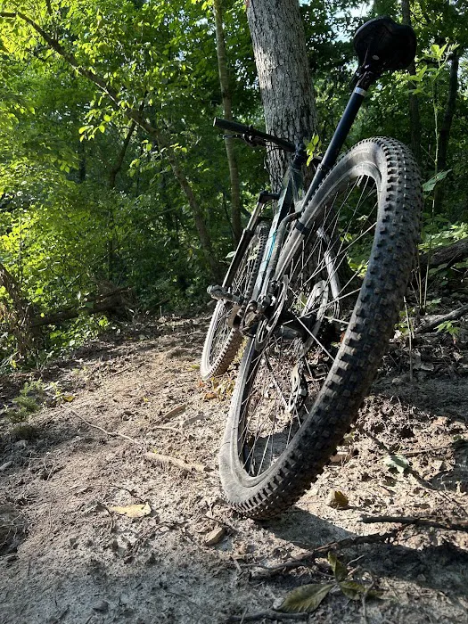 Ozark Adventures RV Campgrounds Picture 9