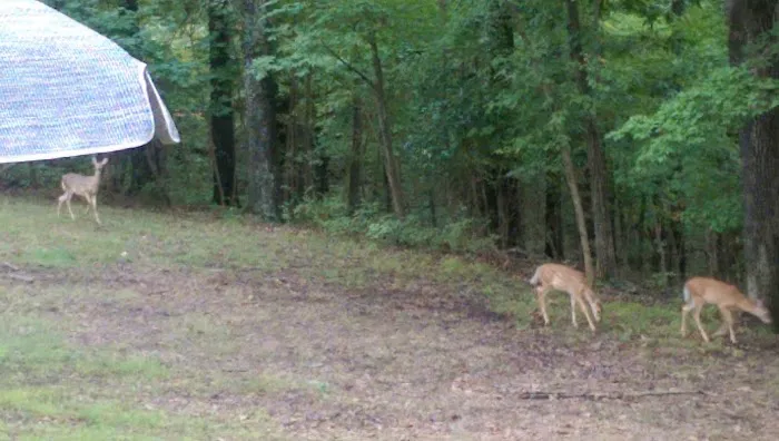 Deer Valley Park Picture 6