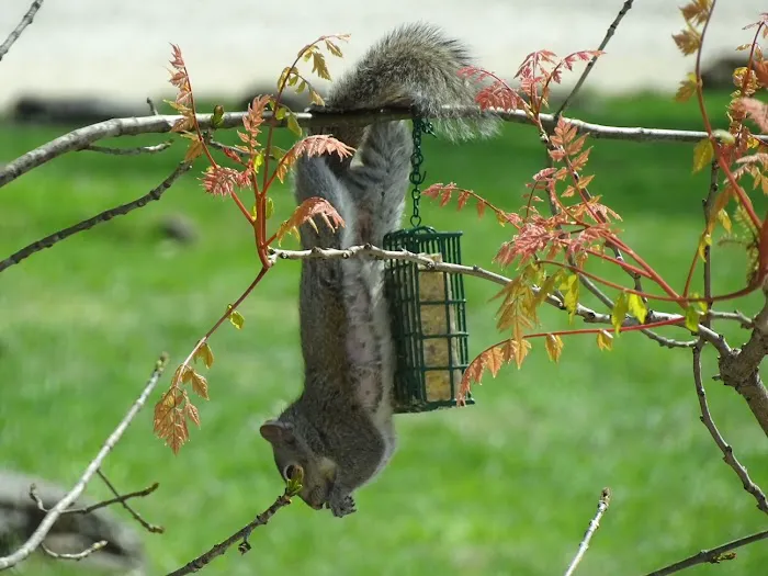 Osage Beach RV Park Picture 6